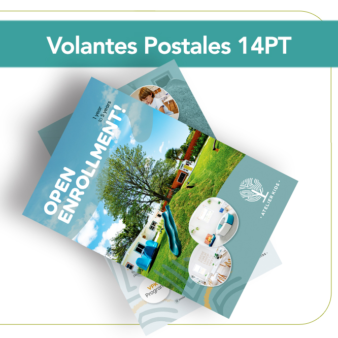 Volantes Postales 14 pt